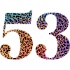 53rd Birthday Leopard