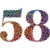 58th birthday leopard