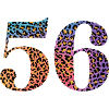 56e anniversaire léopard