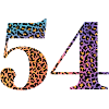 54th Birthday Leopard