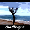 Can Picafort - Majorca