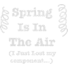 Springisin theAir 1