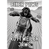 Rottweiler hund kører på motorcykel i ørkenen