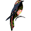 Bunter Vogel