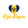 Barbados flag Barbadian bayan