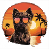 Yorkshire Terrier mit Sonnenbrille