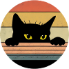 Katze