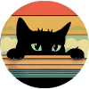 chat