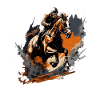 Rider at a gallop