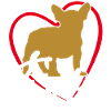 Frenchie dans l’âme Bouledogue français