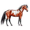 Rain Spirit - Horse, standing