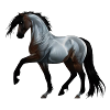 Ramirez - Cheval, course