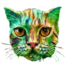Bunte Katze