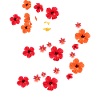 Le CAPORAL