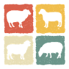 mouton retro moutons