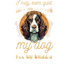 Hunderasse Englisch Springer-Spaniel