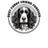 Hunderasse Englisch Springer-Spaniel