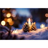 Weihnachtsstimmung im Wald