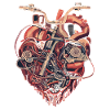 Bicycle Heart Bicycle Mechanic