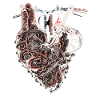 Two-wheeler mechanic machines heart