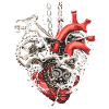 Bicycle Mechanic Heart - Bicycle Lovers