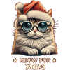 Cool Meow for Xmas