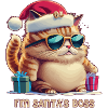 I'm Santa's Chief Cat