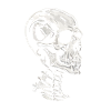 Skull