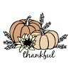 Thanksgiving: pumpkins, sunflower and cereals