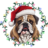 Christmas Bulldog