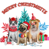 Merry Christmutts