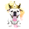 Dog Sayings Dog Dogs Bulldog