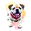 Dog Sayings Dog Dogs Bulldog