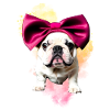 Dog Sayings Dog Dogs Bulldog