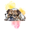 Dog Dog Bulldog with glasses