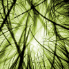 Cable clutter green