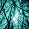 Cable clutter blue