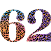 62nd Birthday Leopard