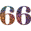 66th Birthday Leopard