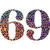 69th Birthday Leopard