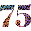 75th Anniversary Leopard