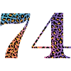 74th Birthday Leopard