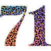71st Birthday Leopard