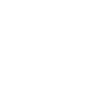 Beautiful dandelion dandelion Dandelion