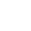Beautiful dandelion dandelion Dandelion