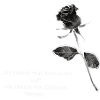 Rose in der Luft