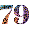79th Birthday Leopard