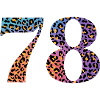 78th birthday leopard