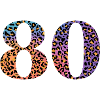 80th Birthday Leopard