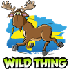 Elk - Wild Thing